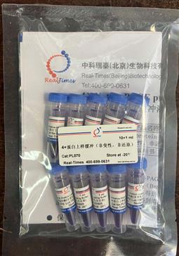4×蛋白上樣緩沖（非變性，非還原）