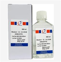 Western一抗二抗去除液（弱堿，溫和型）